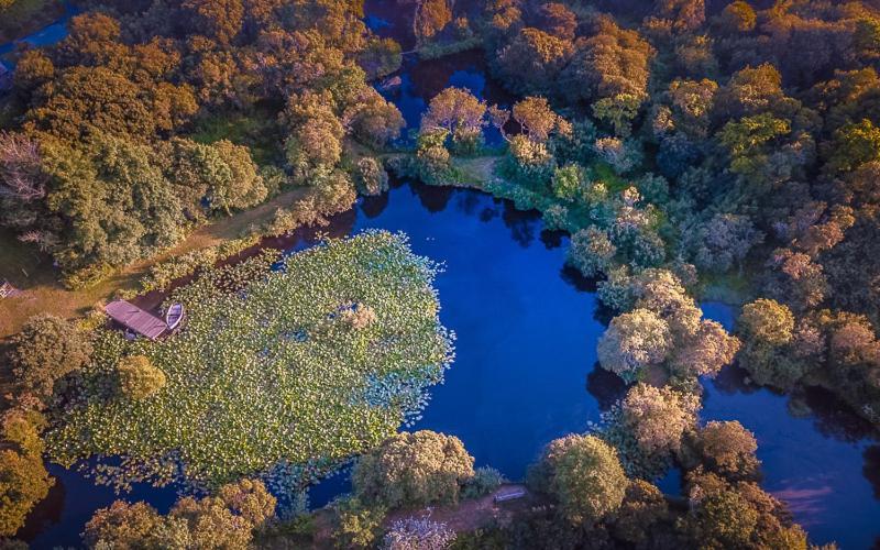 קמבורן Trecombe Lakes מראה חיצוני תמונה
