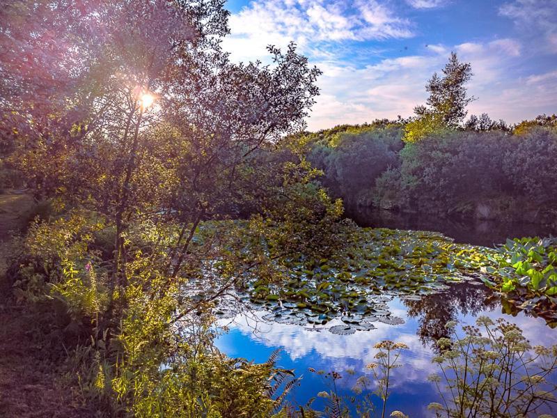 קמבורן Trecombe Lakes מראה חיצוני תמונה