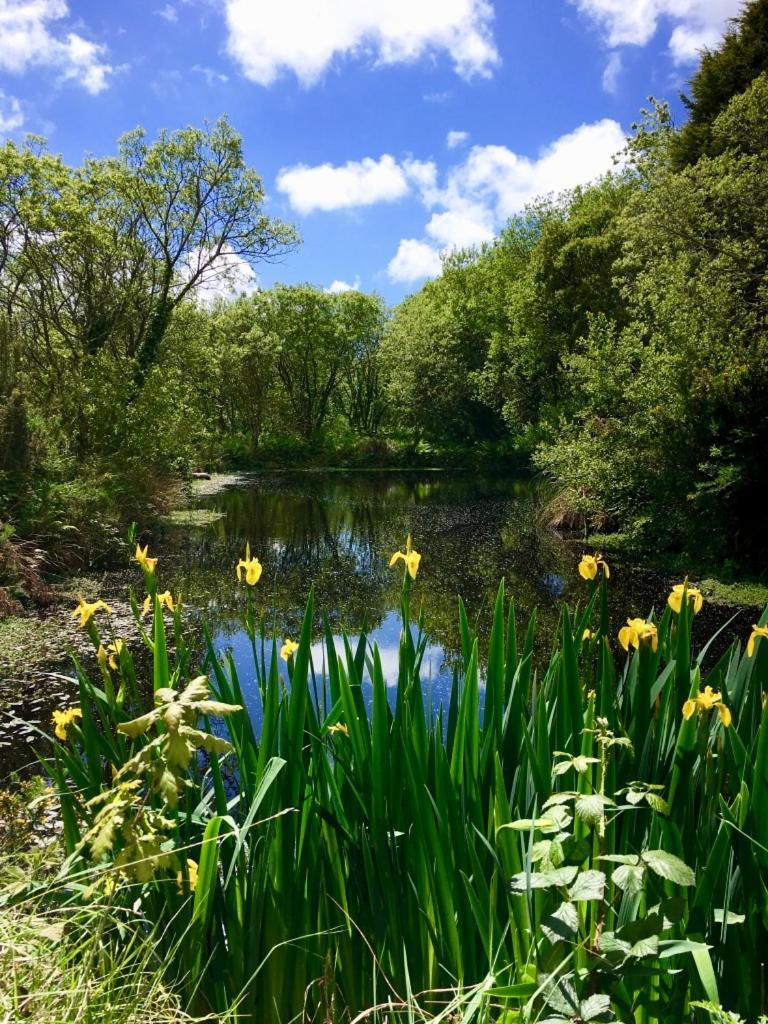 קמבורן Trecombe Lakes חדר תמונה