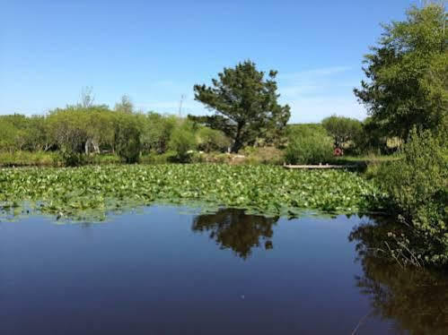 קמבורן Trecombe Lakes מראה חיצוני תמונה